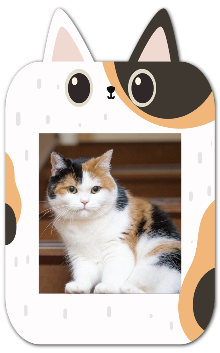 imagetag