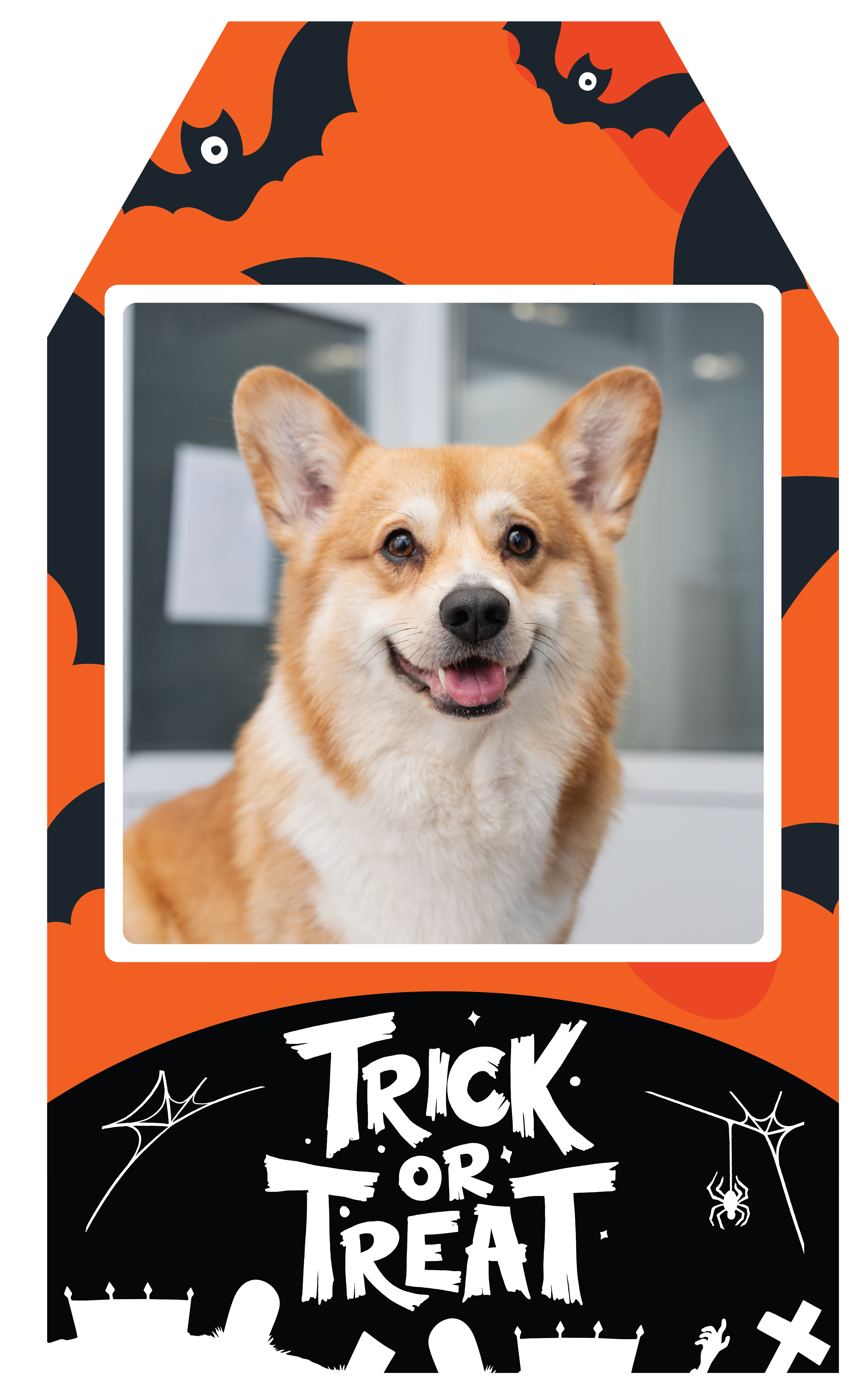 imagetag