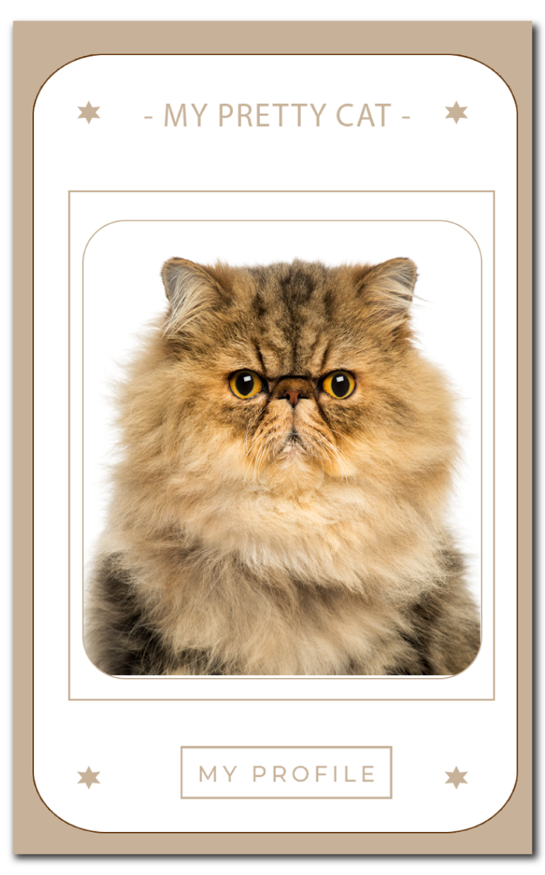 imagetag