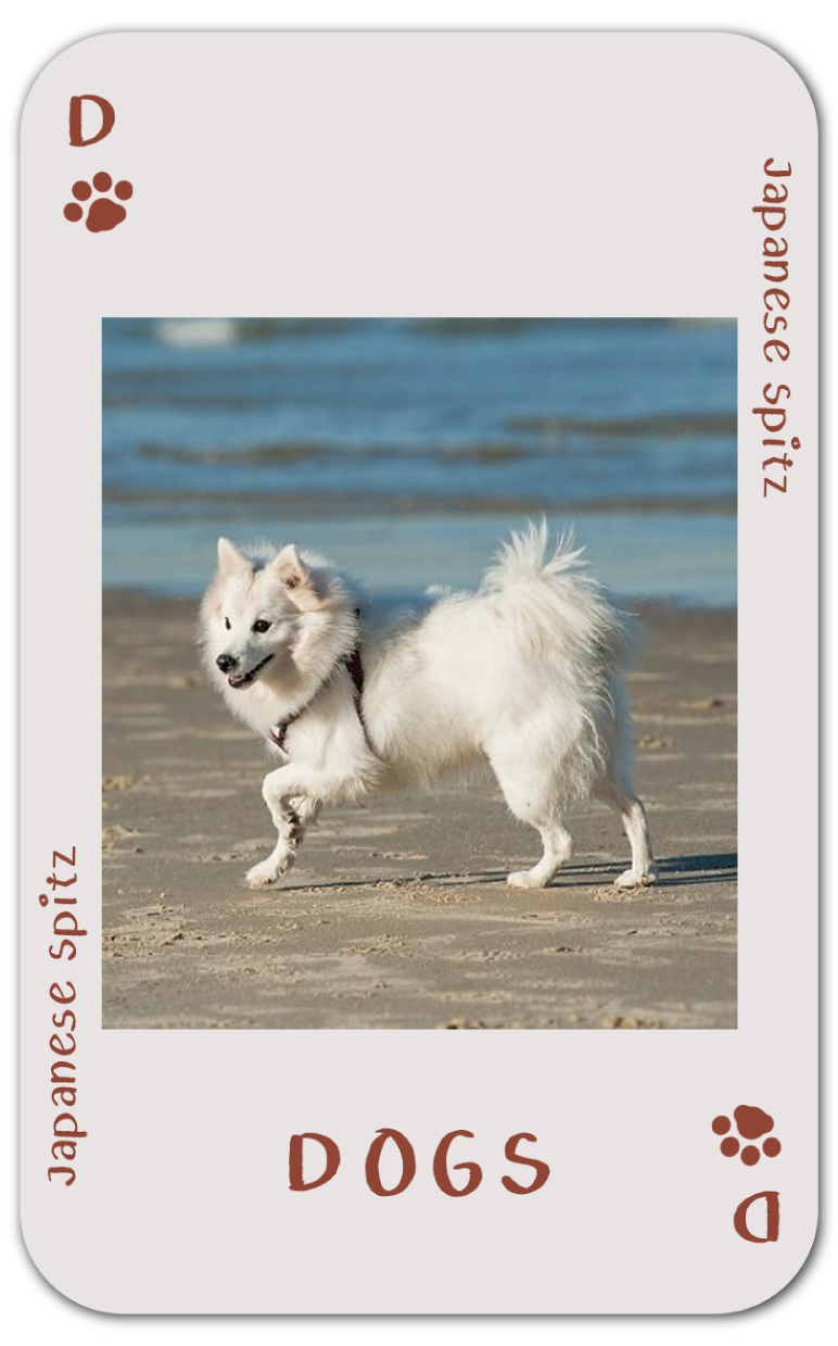 imagetag