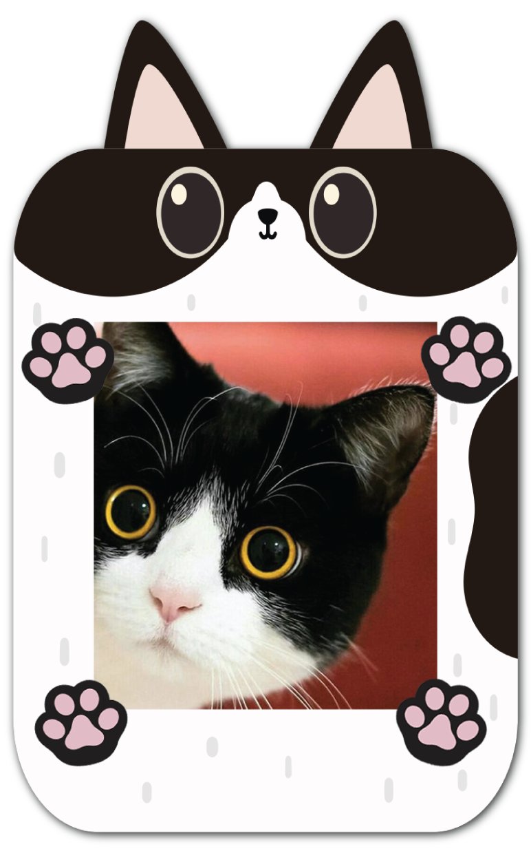 imagetag